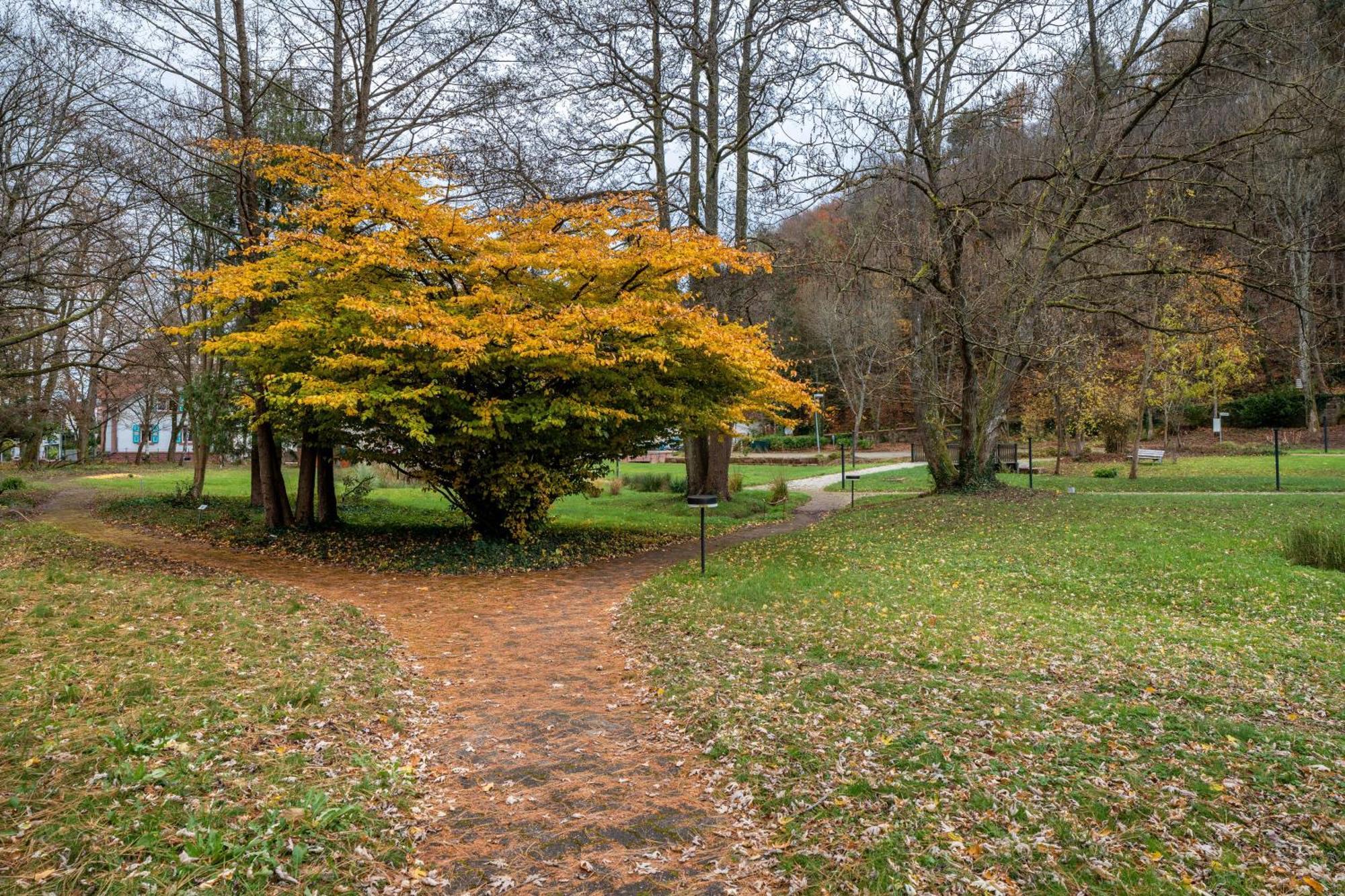 Luise Appartement Bad Bergzabern Buitenkant foto