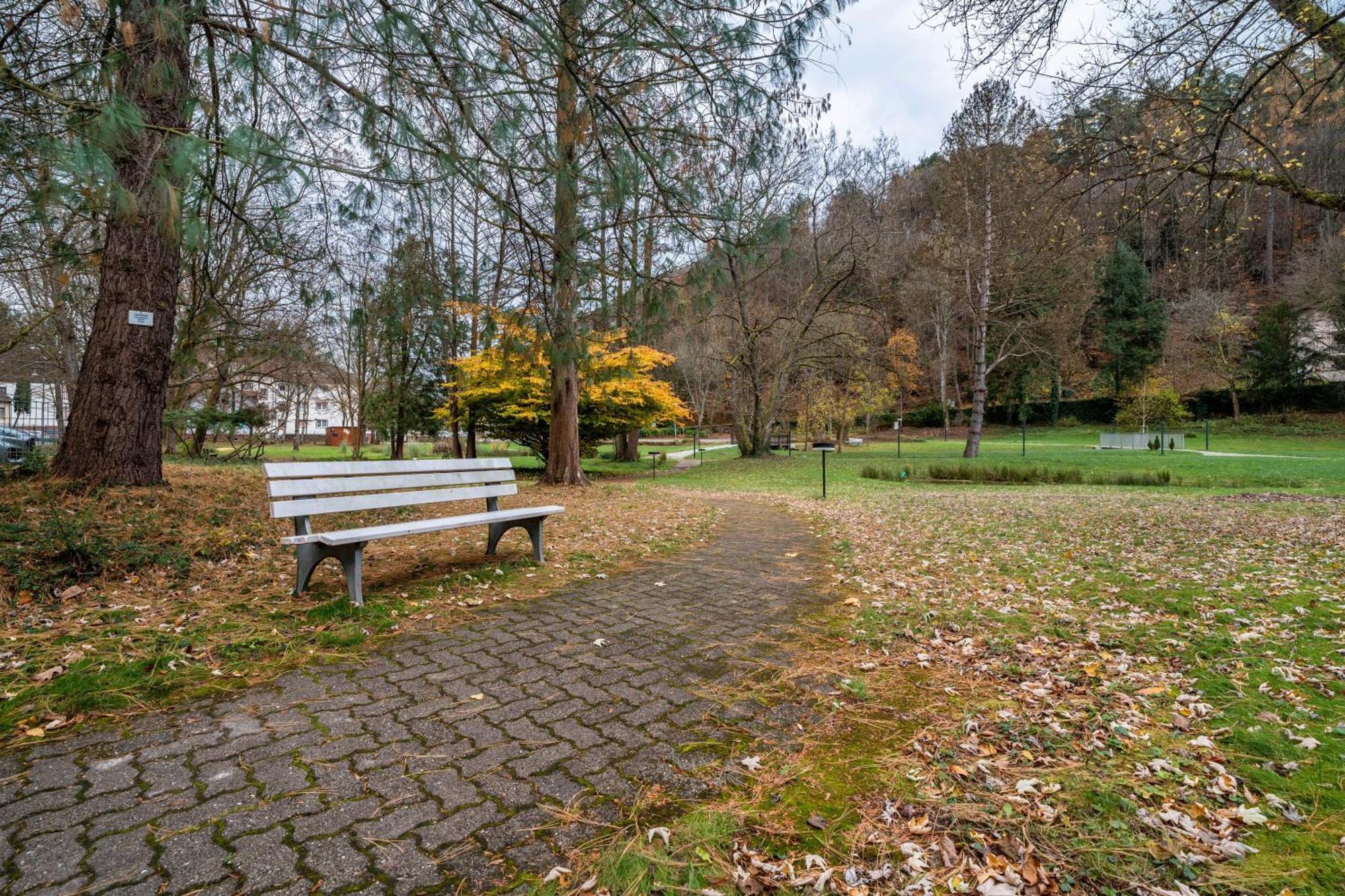 Luise Appartement Bad Bergzabern Buitenkant foto