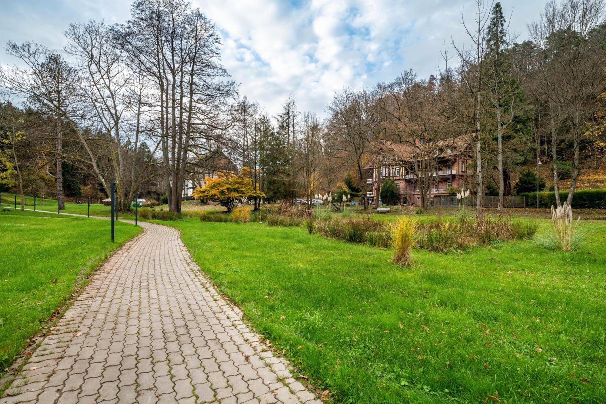 Luise Appartement Bad Bergzabern Buitenkant foto